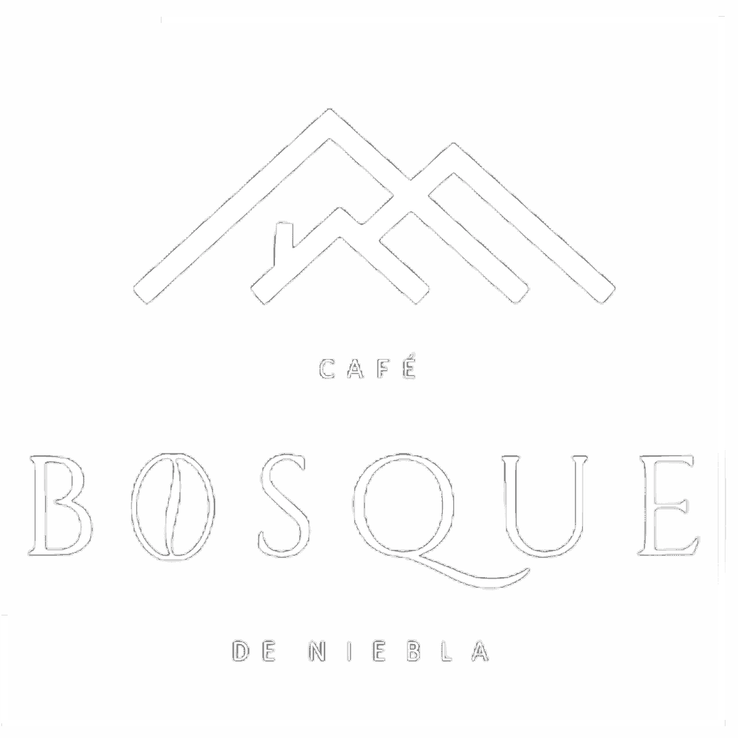 Café Café Bosque de Niebla